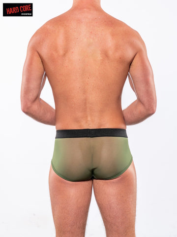 Sheer Brief