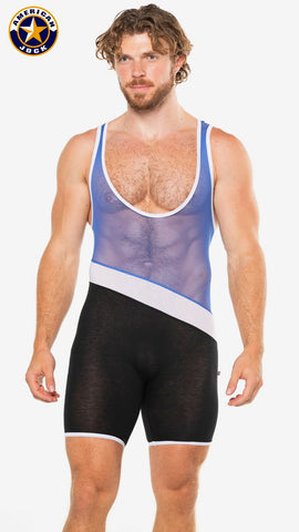 A J Physique Tri-Color Singlet