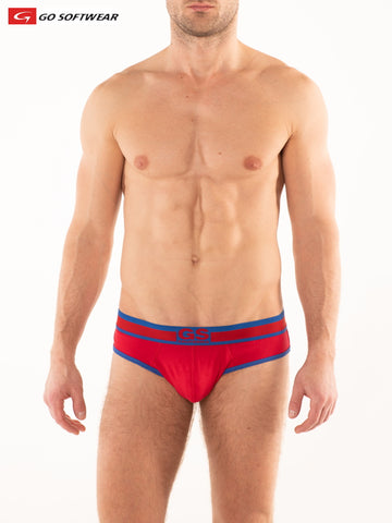 G S California Brief